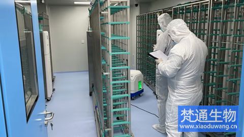 SPF實(shí)驗(yàn)動物房消毒