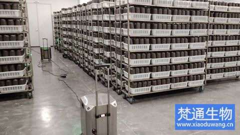 黑木耳三級(jí)菌包生產(chǎn)消毒案例